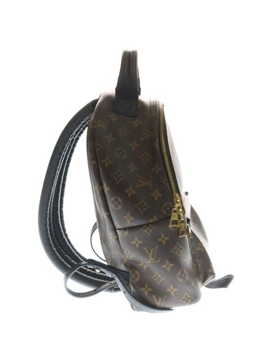 Louis Vuitton Monogram Palm Spring MM Backpack main image 4